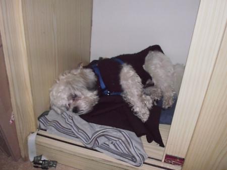 voila cetait pour me couche dans sont armoir car je sui fatiguer